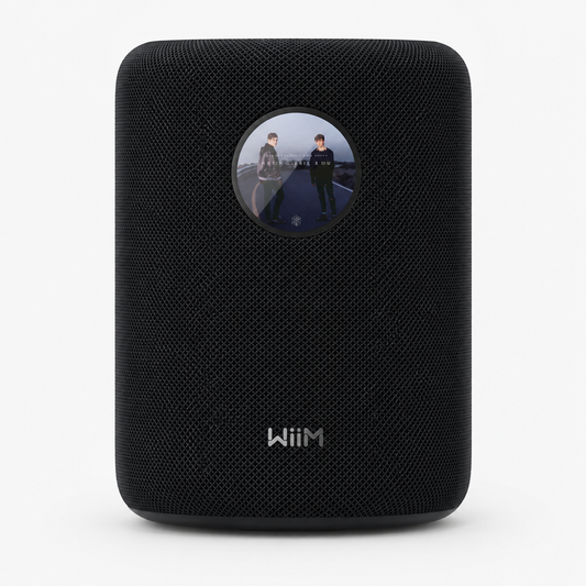 רמקול חכם אלחוטי WiiM Sound עם מסך מגע
