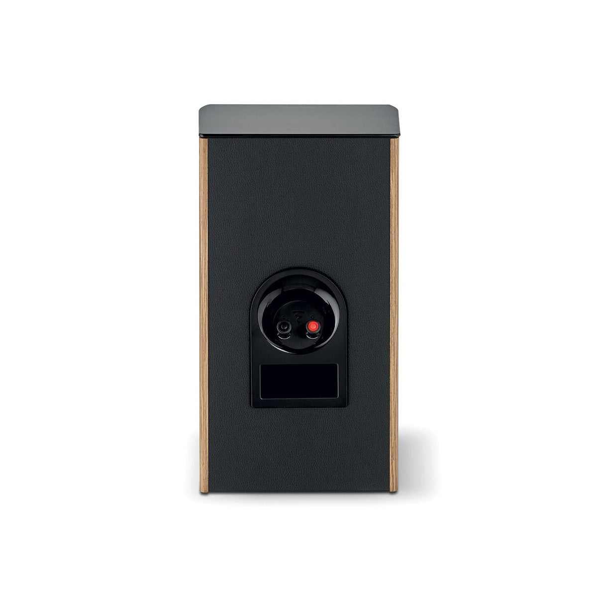 Focal Aria Evo X N°1
