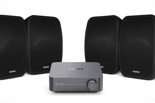 קיט שמע חוץ Wiim Amp עם שני זוגות רמקולים Work Pro NEO 6 IP