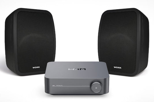 קיט שמע חוץ Wiim Amp עם רמקולים Work Pro NEO 6 IP